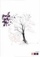 /album/disenos/a04-c-jpg/